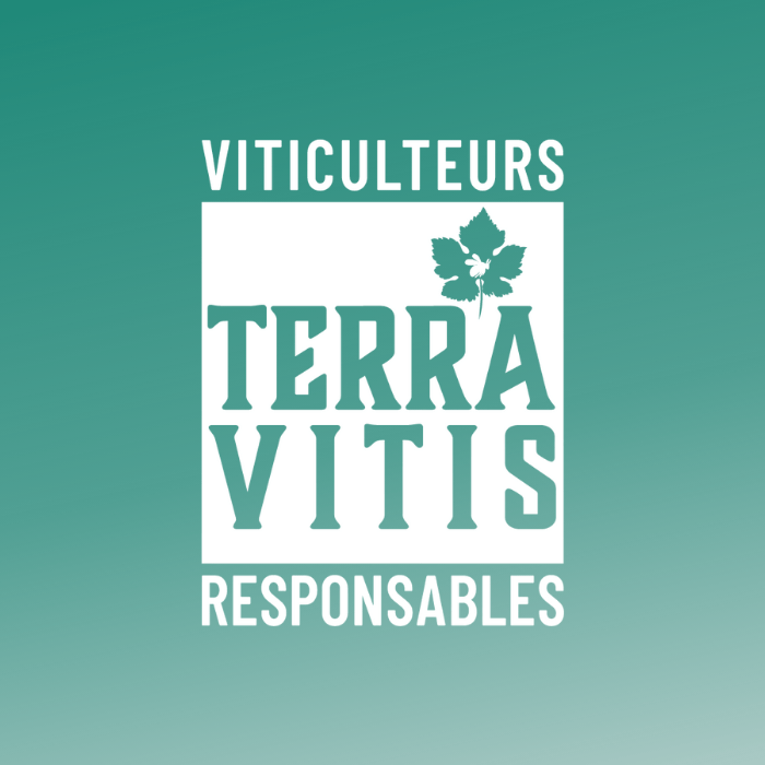 logo Terra Vitis